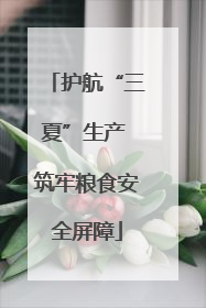护航“三夏”生产 筑牢粮食安全屏障