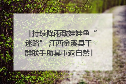 持续降雨致娃娃鱼“迷路” 江西金溪县干群联手助其重返自然