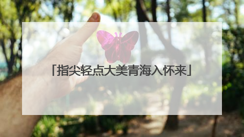 指尖轻点大美青海入怀来