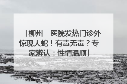 柳州一医院发热门诊外惊现大蛇！有毒无毒？专家辨认：性情温顺