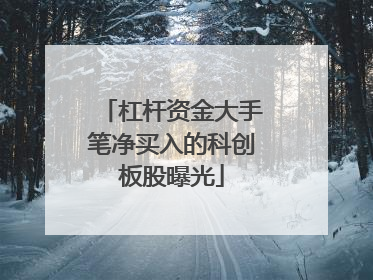 杠杆资金大手笔净买入的科创板股曝光