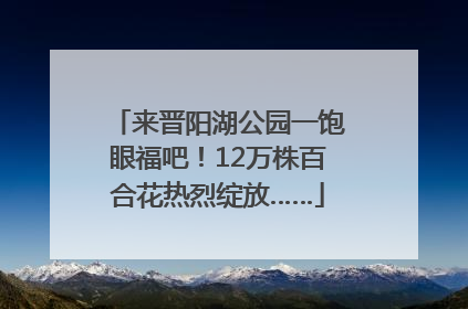 来晋阳湖公园一饱眼福吧！12万株百合花热烈绽放……