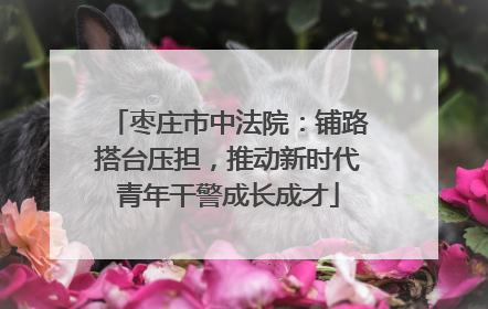 枣庄市中法院：铺路搭台压担，推动新时代青年干警成长成才