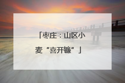 枣庄：山区小麦“喜开镰”