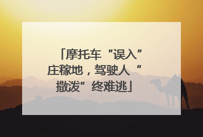 摩托车“误入”庄稼地，驾驶人“撒泼”终难逃