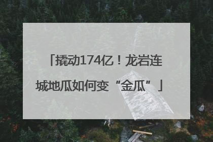 撬动174亿！龙岩连城地瓜如何变“金瓜”