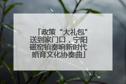 政策“大礼包”送到家门口，宁阳磁窑镇奏响新时代婚育文化协奏曲