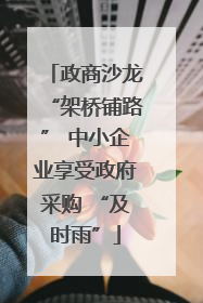 政商沙龙“架桥铺路” 中小企业享受政府采购 “及时雨”