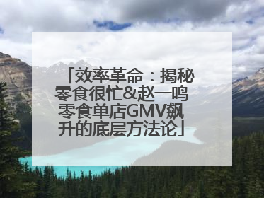 效率革命：揭秘零食很忙&赵一鸣零食单店GMV飙升的底层方法论