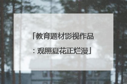 教育题材影视作品：观照夏花正烂漫