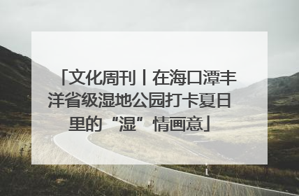 文化周刊丨在海口潭丰洋省级湿地公园打卡夏日里的“湿”情画意