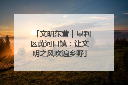 文明东营｜垦利区黄河口镇：让文明之风吹遍乡野