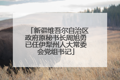 新疆维吾尔自治区政府原秘书长周旭勇已任伊犁州人大常委会党组书记
