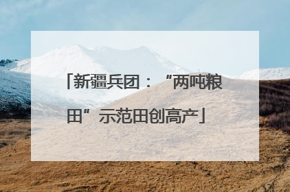 新疆兵团：“两吨粮田”示范田创高产