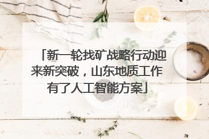新一轮找矿战略行动迎来新突破，山东地质工作有了人工智能方案