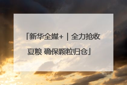 新华全媒+｜全力抢收夏粮 确保颗粒归仓