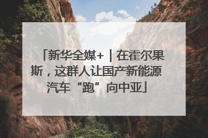 新华全媒+｜在霍尔果斯，这群人让国产新能源汽车“跑”向中亚