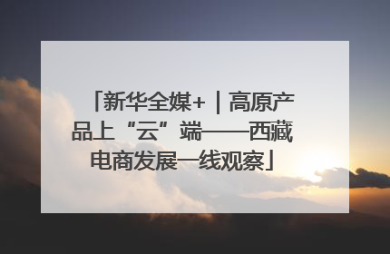 新华全媒+｜高原产品上“云”端——西藏电商发展一线观察