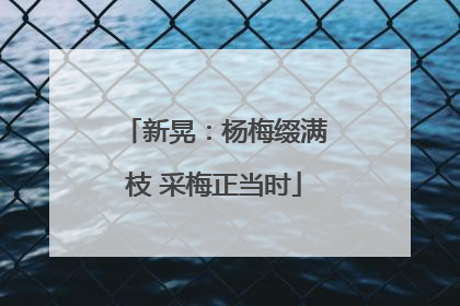 新晃：杨梅缀满枝 采梅正当时