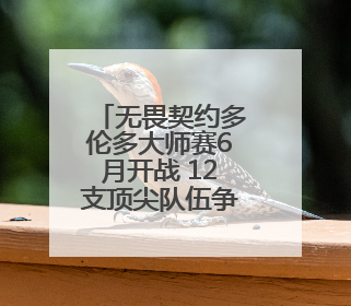 无畏契约多伦多大师赛6月开战 12支顶尖队伍争夺全球冠军赛积分