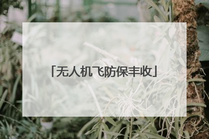 无人机飞防保丰收