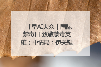 早AI大众｜国际禁毒日 致敬禁毒英雄；中情局：伊关键核设施被摧毁