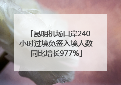 昆明机场口岸240小时过境免签入境人数同比增长977%