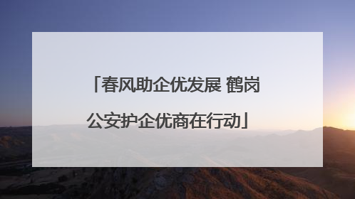 春风助企优发展 鹤岗公安护企优商在行动