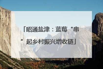 昭通盐津：蓝莓“串”起乡村振兴增收链