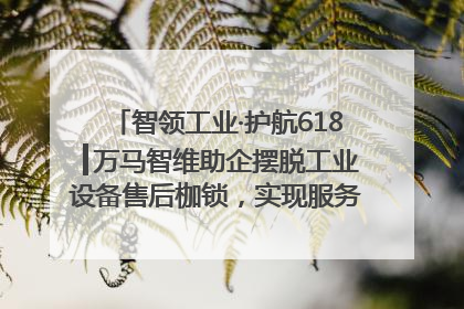 智领工业·护航618┃万马智维助企摆脱工业设备售后枷锁，实现服务与效能价值共振！
