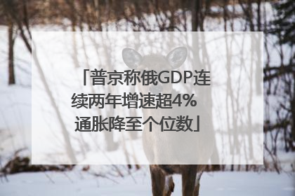 普京称俄GDP连续两年增速超4% 通胀降至个位数