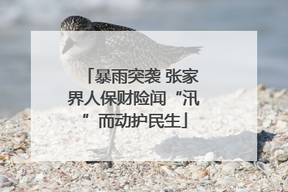 暴雨突袭 张家界人保财险闻“汛”而动护民生