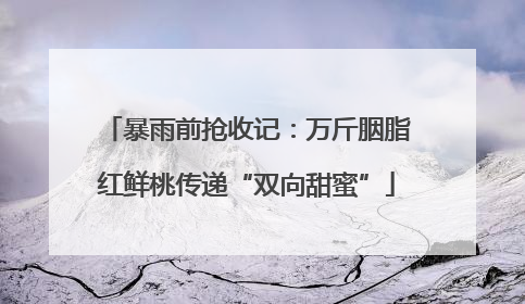 暴雨前抢收记：万斤胭脂红鲜桃传递“双向甜蜜”