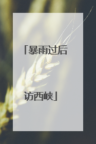 暴雨过后访西峡