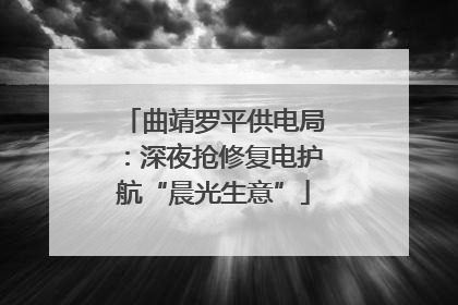 曲靖罗平供电局：深夜抢修复电护航“晨光生意”