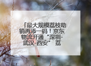 最大规模荔枝助销再添一码！京东物流开通“深圳-武汉-西安” 荔枝全货机航线