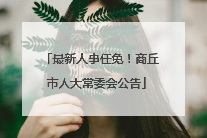 最新人事任免！商丘市人大常委会公告