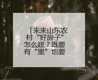 未来山东农村“好房子”怎么建？既要有“里”也要有“面”