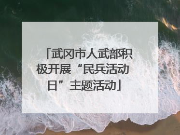 武冈市人武部积极开展“民兵活动日”主题活动