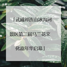 武威祁连山冰沟河景区第二届马兰花文化嘉年华启幕