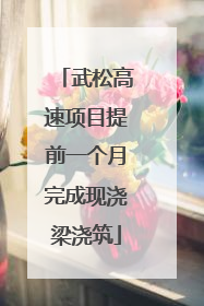 武松高速项目提前一个月完成现浇梁浇筑