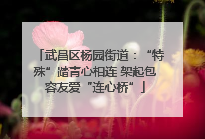 武昌区杨园街道：“特殊”踏青心相连 架起包容友爱“连心桥”