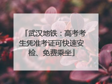 武汉地铁：高考考生凭准考证可快速安检、免费乘坐
