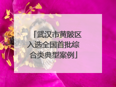 武汉市黄陂区入选全国首批综合类典型案例