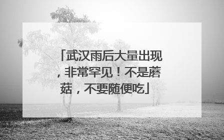 武汉雨后大量出现，非常罕见！不是蘑菇，不要随便吃