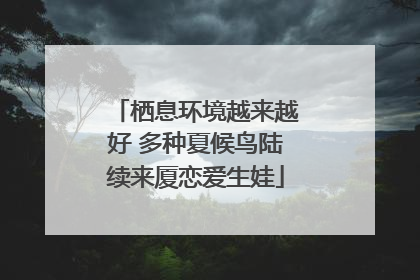 栖息环境越来越好 多种夏候鸟陆续来厦恋爱生娃