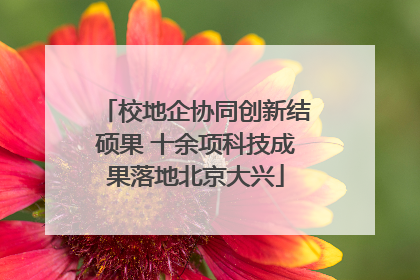 校地企协同创新结硕果 十余项科技成果落地北京大兴