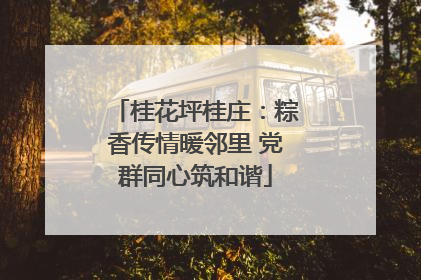 桂花坪桂庄：粽香传情暖邻里 党群同心筑和谐