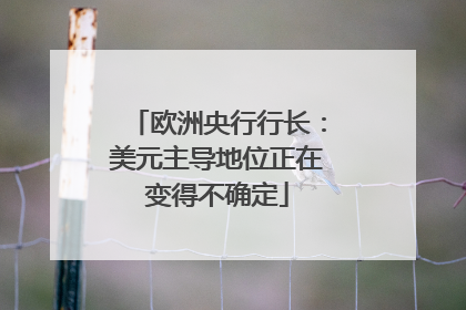 欧洲央行行长：美元主导地位正在变得不确定
