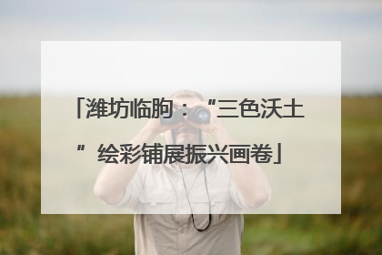 潍坊临朐：“三色沃土”绘彩铺展振兴画卷